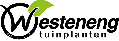 Westenengtuinplanten Logo